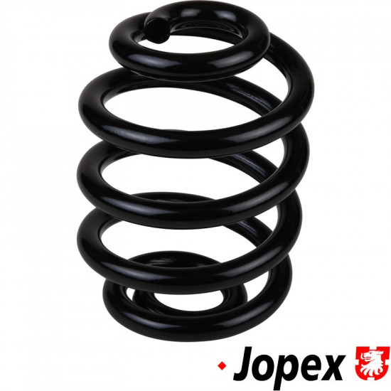Coil spring, rear