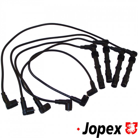 Ignition cable set