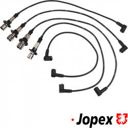 Ignition cable set