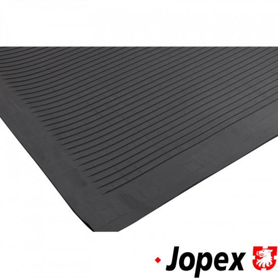 Floor mat for cargo area, rubber