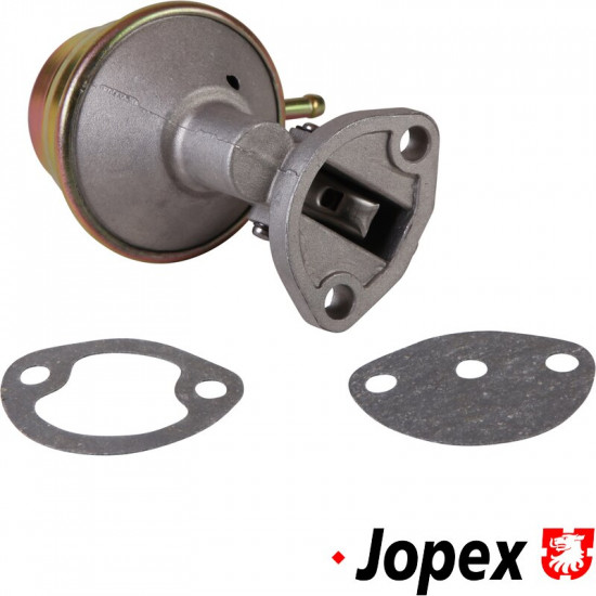 Fuel pump, economy model