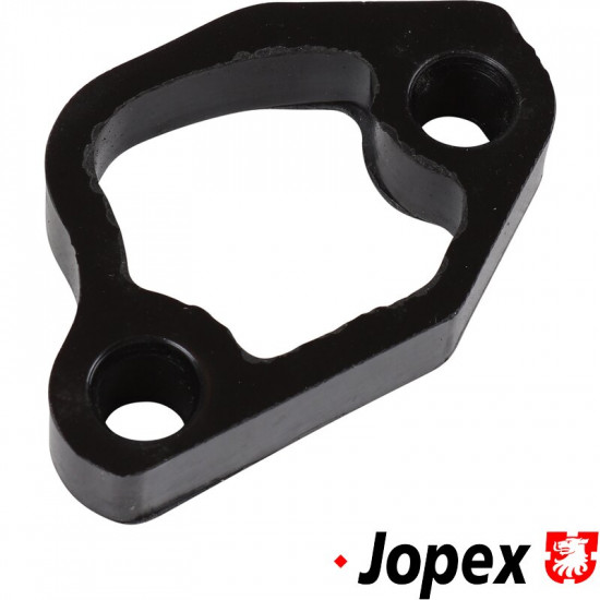 Flange for fuel pump