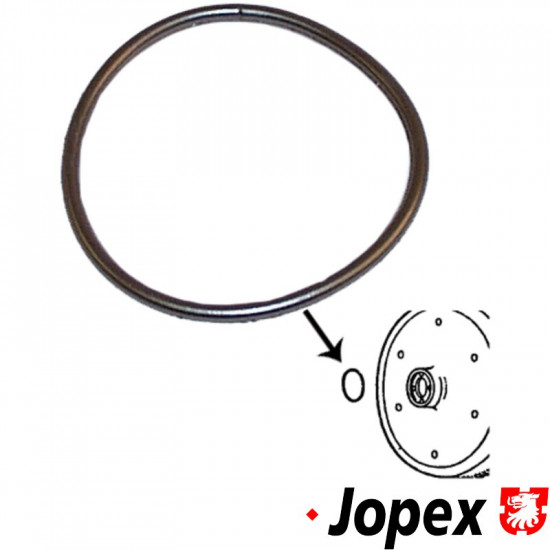 O-ring seal for flywheel - crankshaft
