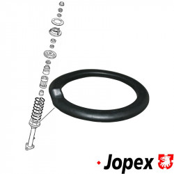 Rubber ring for coil spring