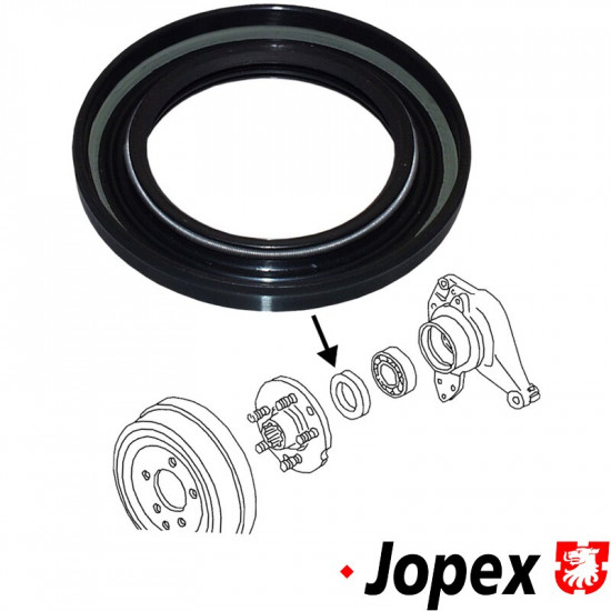 Oil seal for wheel bearing, rear