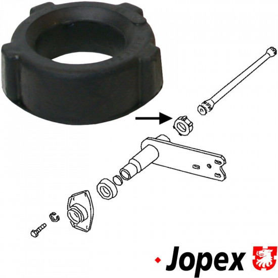 Bushing for spring plate