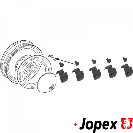 Springs with rivets for hub cap