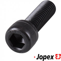 Mounting bolt for brake caliper front, M10x30x1.5 mm, strength class 12.9, hex socket head