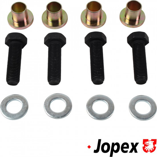 Brake caliper fitting set