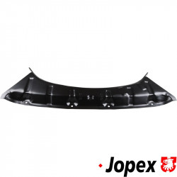 Inner rear valance panel