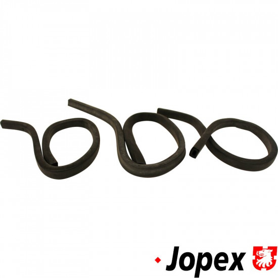 Rubber seal for rear cargo door