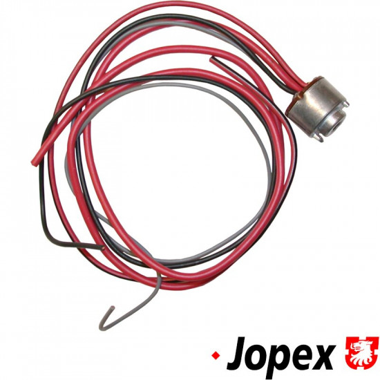 Ignition switch w/wire