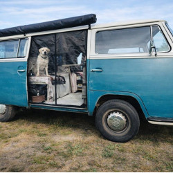 Magnētiskie moskītu tīkli VW T2 bīdāmajām un aizmugures durvīm, Toptrail